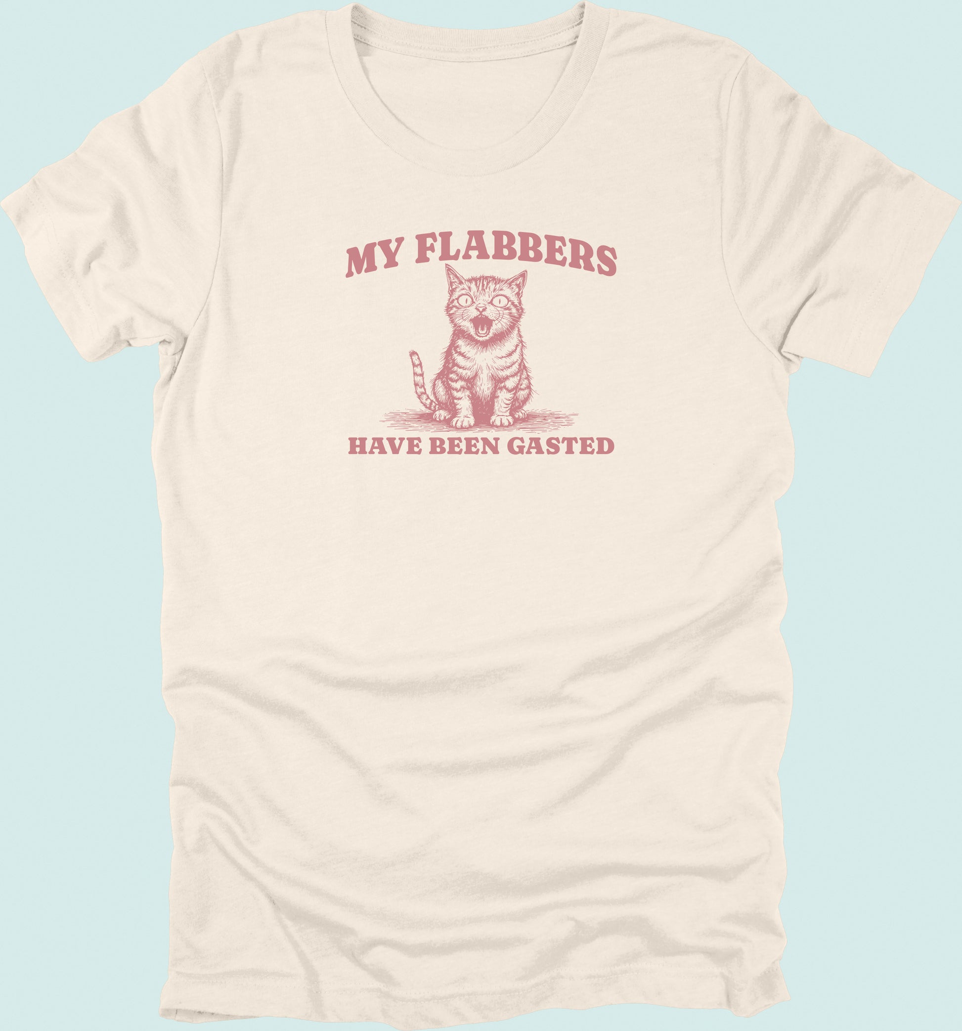 My Flabbers Have Been Gasted T-shirt Cat