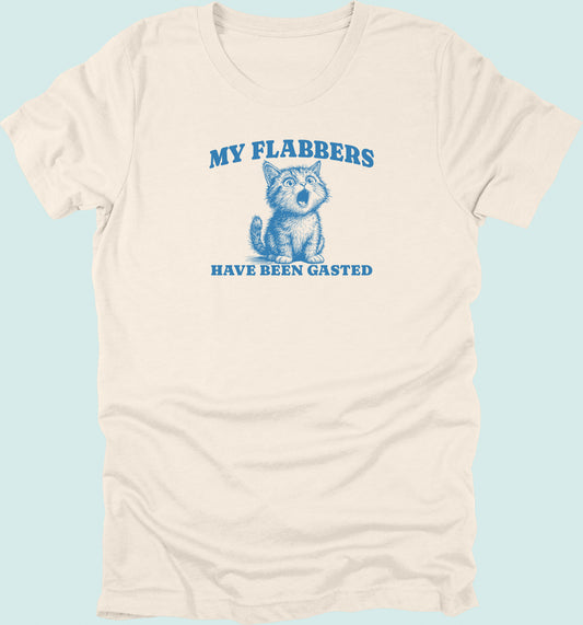 My Flabbers Have Been Gasted T-shirt Kitten