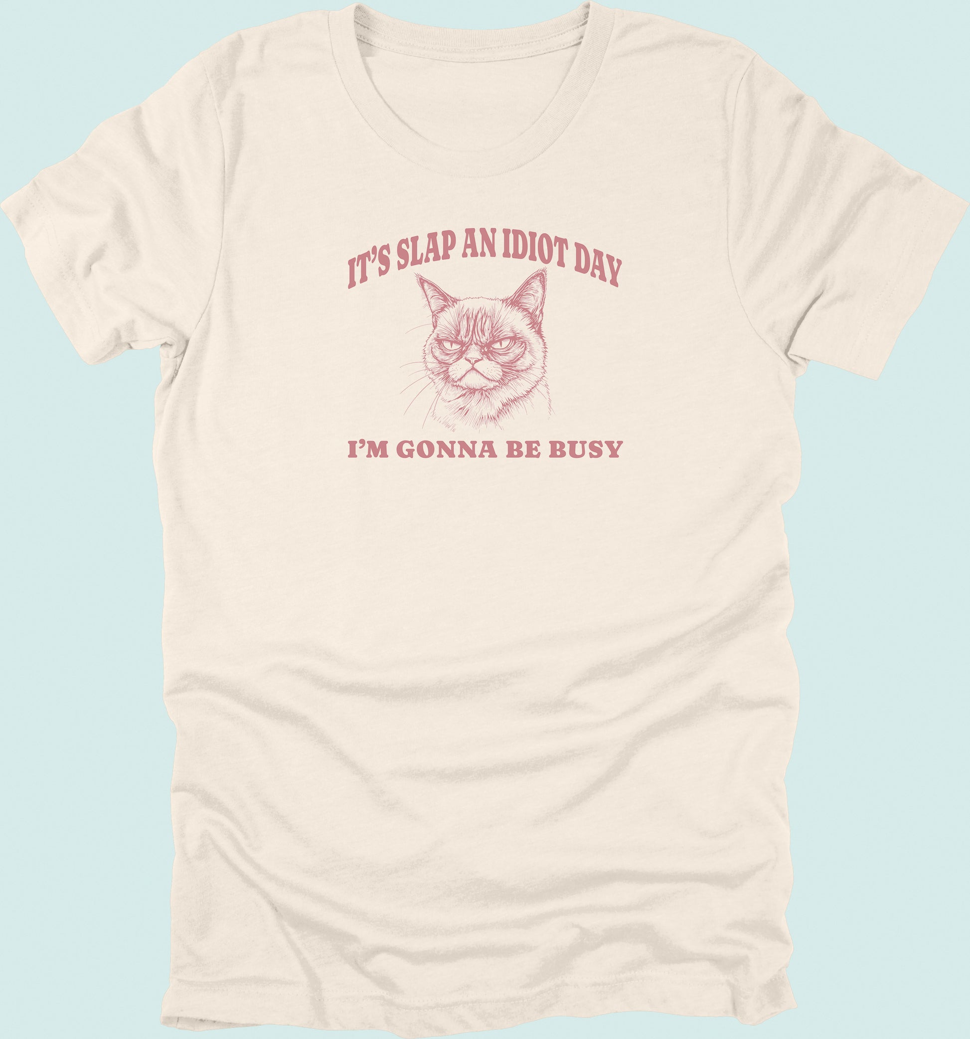 Slap An Idiot Day Cat T-Shirt