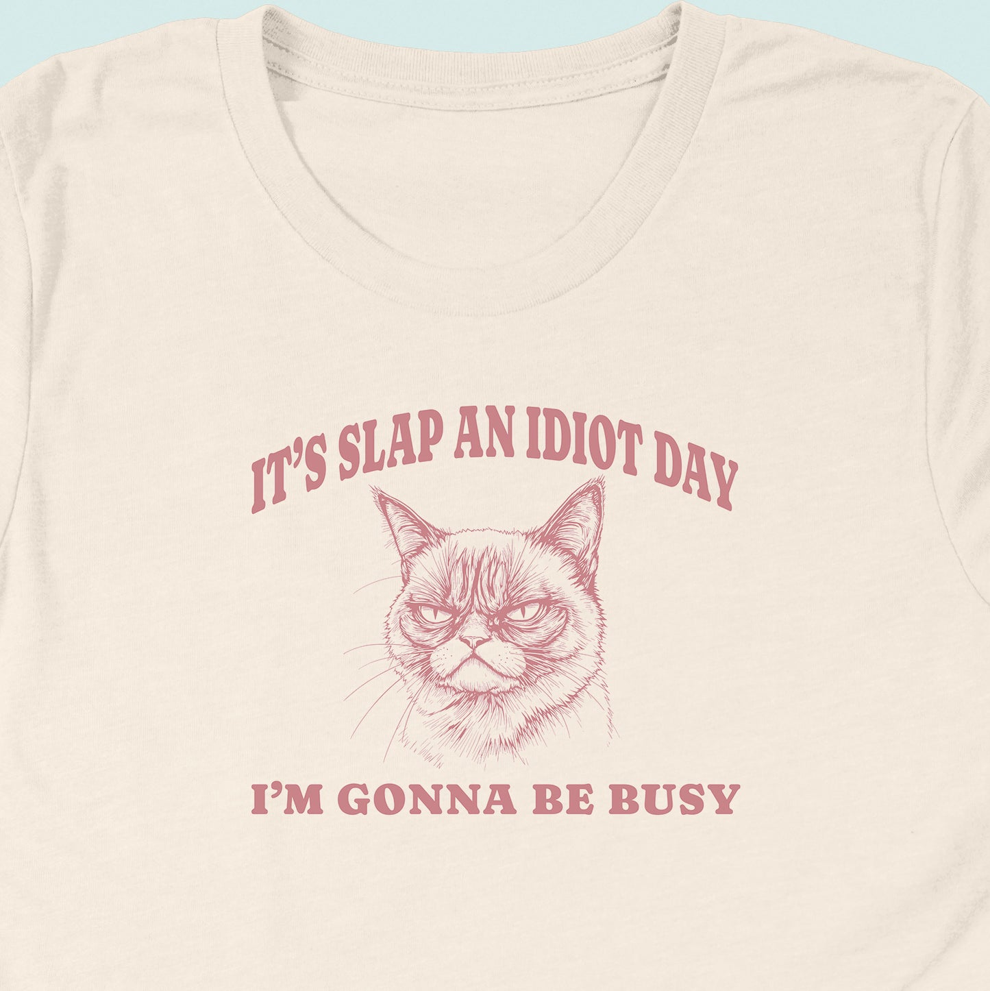 Slap An Idiot Day Cat T-Shirt
